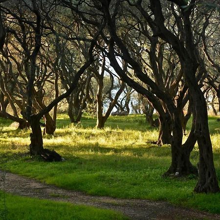 Paramonas  Sunset Cottage מראה חיצוני תמונה