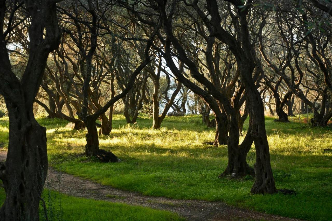 Paramonas  Sunset Cottage מראה חיצוני תמונה